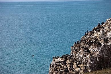 《战地2042》25分钟超高画面设置实机镜头分享