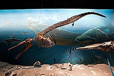 《极限竞速：地平线5》Steam Deck和Xbox版画面对比